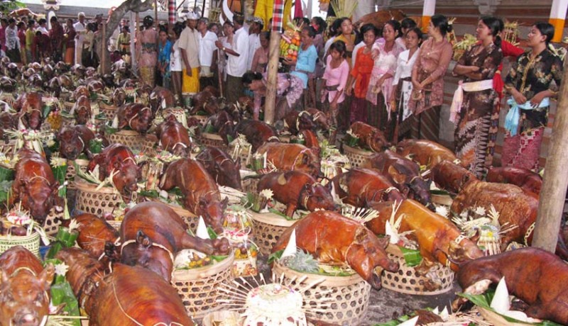 Upacara Pig Feast